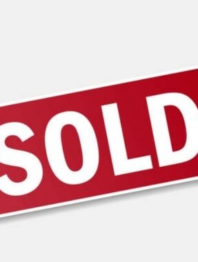 Wilfred Taupe Beige Silk-Cami Top Adjustable Spaghetti Straps (Size L)